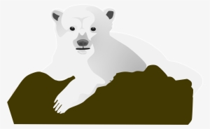 This Free Icons Png Design Of Knut The Polar Bear #107257