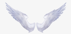 Angel Wings Freetoedit - Gold Angel Wings Png - Free Transparent PNG ...