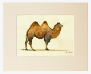 "bactrian Camel" - - Bactrian Camel Painting #107511
