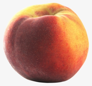 Peach Transparent Background #107553
