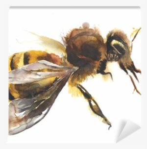 Honey Bee Watercolor Painting Hand Made Isolated On - Watercolor Painting #108116