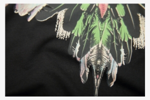 Asian Elephant #108172