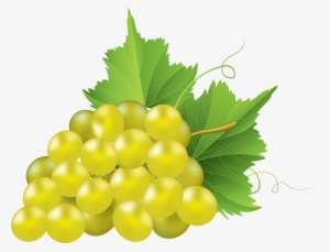 White Grape Transparent Png Clip Art Image - Chardonnay Uva Png #109158
