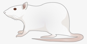 201109 Rat - Cartoon Rat Png #109764