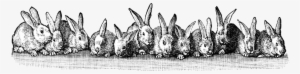 3 > Easter Bunnies In A Row Free Easter Clip Art - Vintage Bunny Clip Art #109947