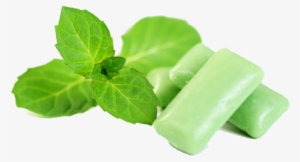 Spearmint Gum Sticks #1000139