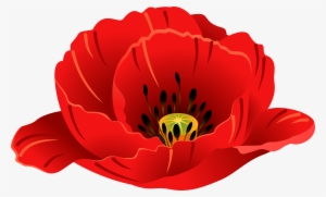 Patriotic Images, Art Images, Poppies, Clip Art, Art - Corn Poppy #1001513