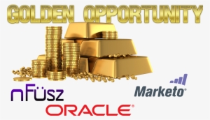 Fusz The Golden Ticket - 9 Ct Solid Gold Mystical Jewellery Piece #1001830