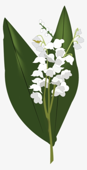 Lily Of The Valley Png Hd - Lily Of The Valley Png #1003186