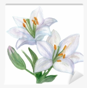 Beautiful White Lily - Lelie Getekend #1003335