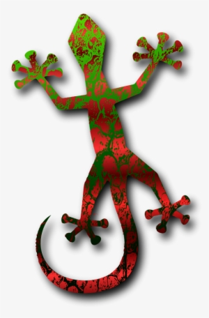 House Lizard - Bild Gecko #1003468