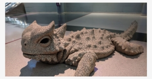 This Photo Is Beast - Mccarran International Airport #1003859