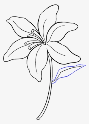 Red Spider Lily Png - Red Spider Lily Drawing - Free Transparent PNG ...