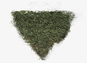 Plants Decals - Moss Decals #1004192