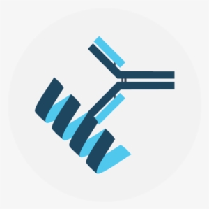 Icon Of Antibody #1004262