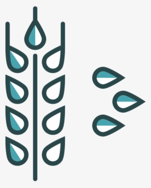 Wheat Icon - Graphic Design #1004400