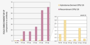 Recombinant Cp9/19 Showed Significantly Improved Performance - Diagram #1004666