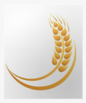 Wheat #1004686 Wheat #1004686