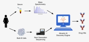 Alicanto Antibody Discovery - Diagram #1005015