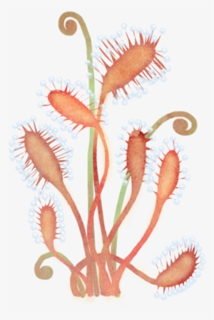 I Also Made Two Ivy Like Plants In Lighter Golden Ish - Embroidery #1005018