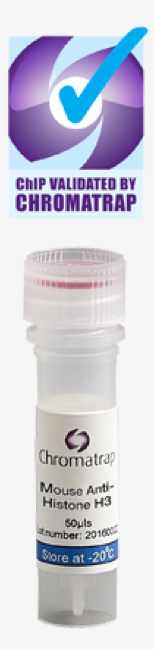 Chip Validated Antibodies - Plastic Bottle #1005088