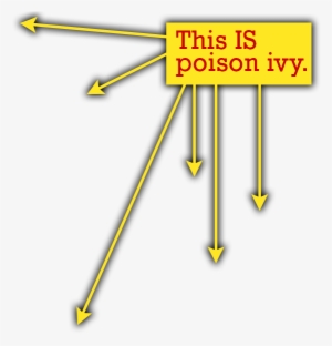 Note How The Poison Ivy Leaves Never Have That Square - Quiz #1005165