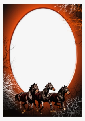 Caballos Para Usted - Marcos Para Fotos De Caballos #1005339