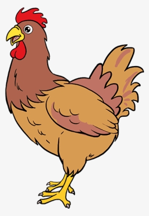 How To Draw Chicken - Brahma Chicken In Clipart - Free Transparent PNG ...