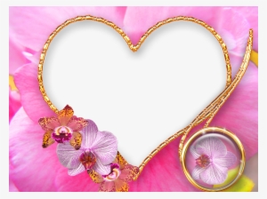 Png Format Pictures Download - Wedding Photo Frame Png #1006156
