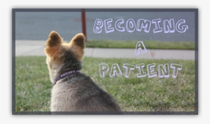 Patient - Physician #1007618