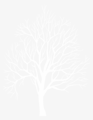 White Tree Silhouette Png #1008632