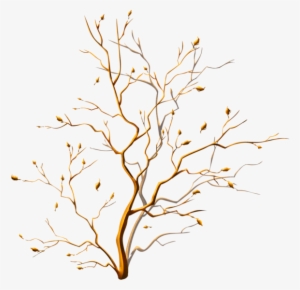 Visit - Arvore Marrom Em Png #1008675