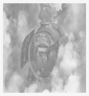 Steam Locomotive #1008678