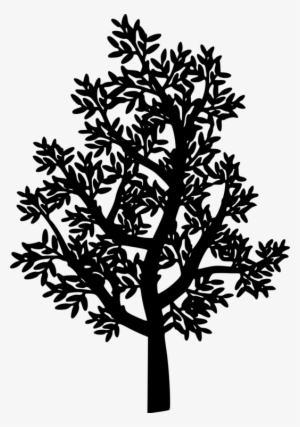 Twig Tree Branch Silhouette Leaf - Small Tree Silhouette Png #1009084 Twig Tree Branch Silhouette Leaf - Small Tree Silhouette Png #1009084