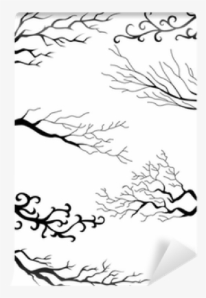 Tree #1009106 Tree #1009106