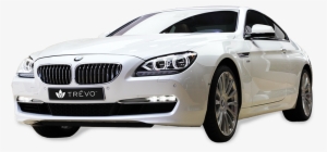 Clover, Llc. #1009113