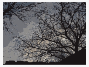 Medium Image - Branch #1009140