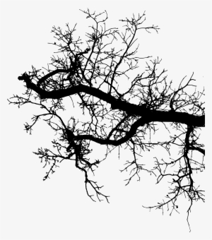 Freetoedit Tree Branch Silhouette 4trueartists Element - Portable Network Graphics #1009161