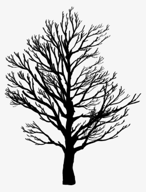 Oak Tree Branch Tattoo - Barren Tree Png #1009256