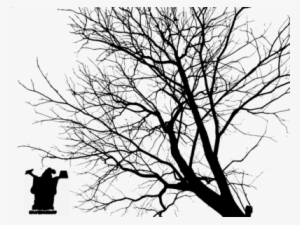 Tree Branch Silhouette Png Tree Silhouette #1009281