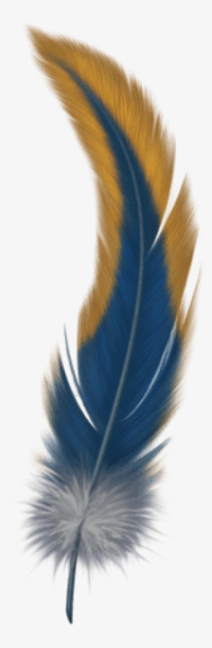Free Png Feather Png Images Transparent - Feather With Transparent Background #1009506