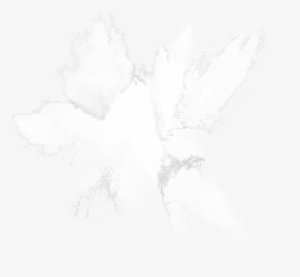 Light Splash Ink Transprent - White Ink Splash Png #1009828