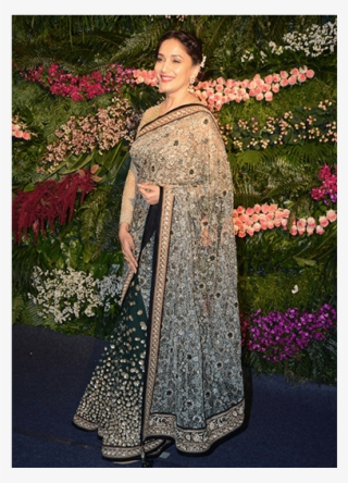 Madhuri Dixit - Gown #10052074