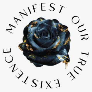 Black Mote - Floribunda #10052786