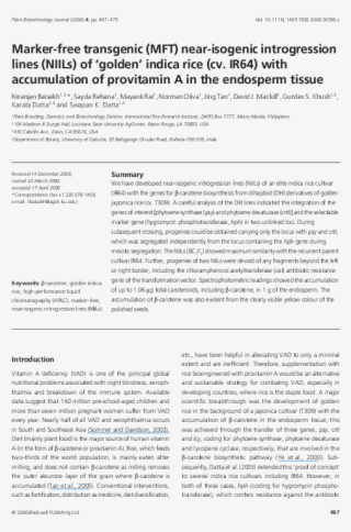 Pdf - Plaza De San Marcos #10053958