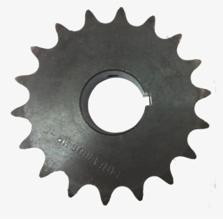 Single Speed Freewheel #10054736