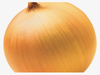 Onion Clipart - Yellow Onion #10054937
