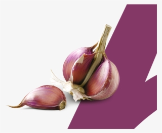 Ajo Espanol Calidad Proaco - Garlic #10055146