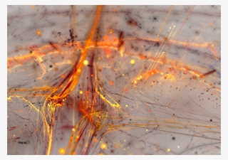 Abstract Chaos Contrast Colorful Png Image - Still Life Photography #10056531