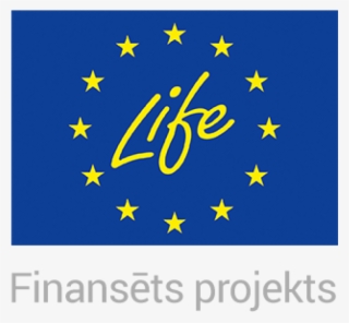 Life 1-800x - Life #10057579